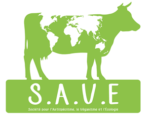 rencontre animal et société